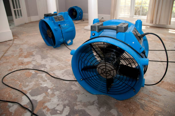 Best Flood restoration services  in Hunters Creek Village, TX