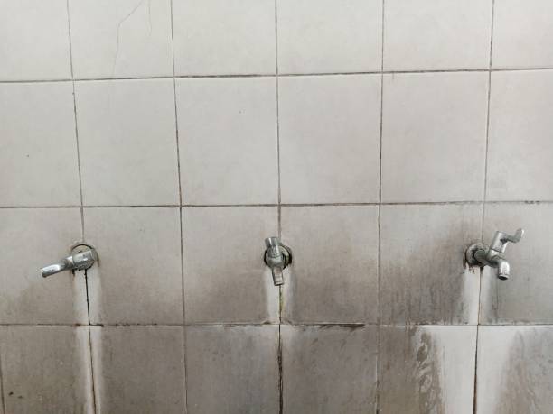  Hunters Creek Village, TX Water damage restoration Pros