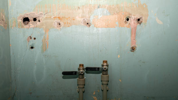 Carpet water damage restoration in Hunters Creek Village, TX