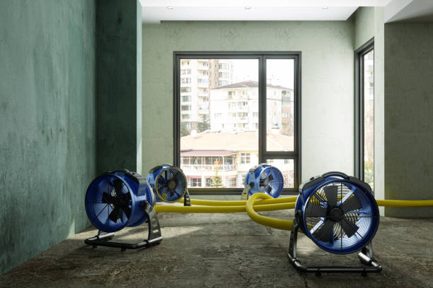 Best Water damage contractors near me  in Hunters Creek Village, TX