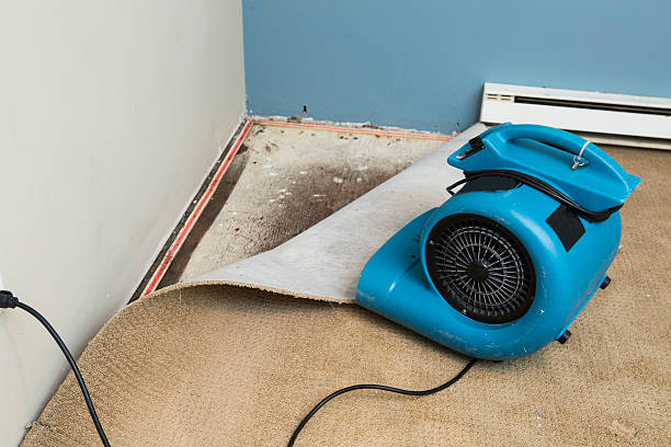 Best Sewage cleanup and water damage restoration  in Hunters Creek Village, TX